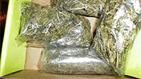 International Day Against Drug Abuse and Trafficking