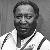 Muddy Waters